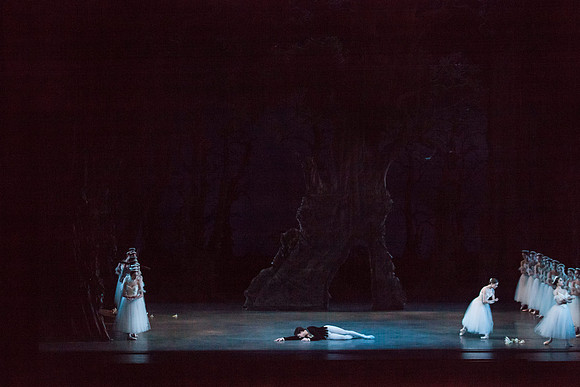 7064_DG_GISELLE_Broward_Preformance_Miami_City_Ballet_FL_IMG_4985