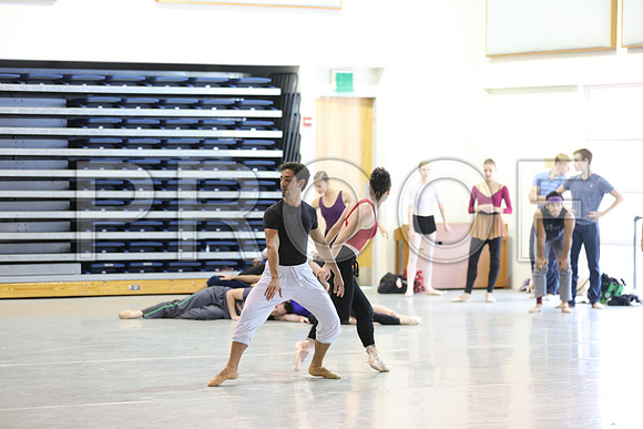 20150821_Year_of_The_Rabbit_Justin_Peck_Rehersal_075A3737
