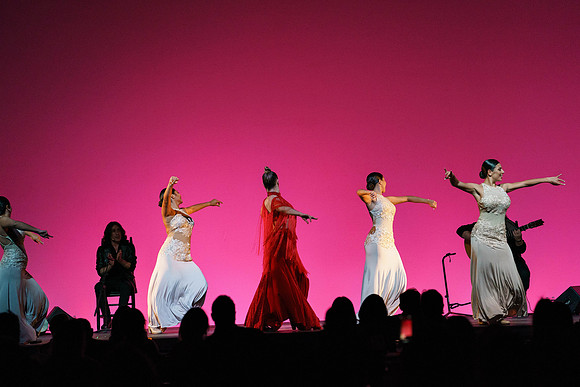 20210417_Siudy_ flamenco_archt_DSC9859