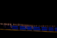 20260430_Grand Glittering Greshwin_DR_DSC1104