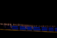 20260430_Grand Glittering Greshwin_DR_DSC1105