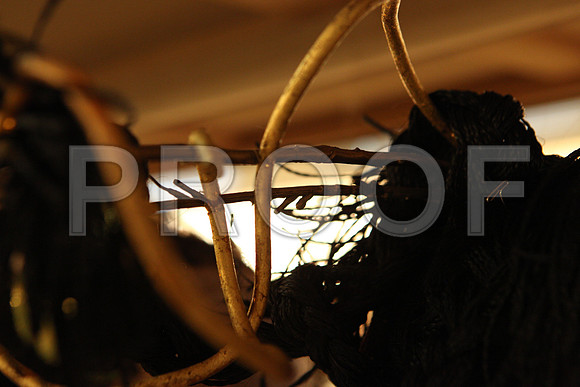 20140508_THAIS_ARSHT_IMG_1401