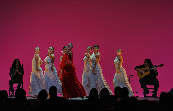 20210417_Siudy_ flamenco_archt_DSC9903