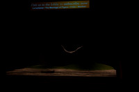 Orfeo ed Euridice Florida Grand Opera by Ranieri de’ Calzabigi
