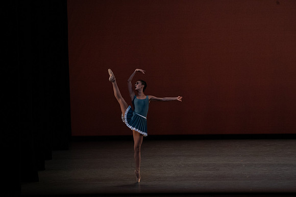 Year of the Rabbit_1PM_Matinee_Arsht_20252029