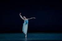 20260220_Serenade_DR_DSC6129