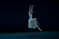 20260220_Serenade_DR_DSC6666