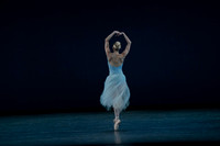 20260220_Serenade_DR_DSC6607