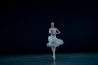 20260220_Serenade_DR_DSC6588