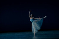 20260220_Serenade_DR_DSC6429-1