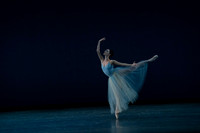 20260220_Serenade_DR_DSC6428