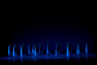 20260220_Serenade_DR_DSC5647