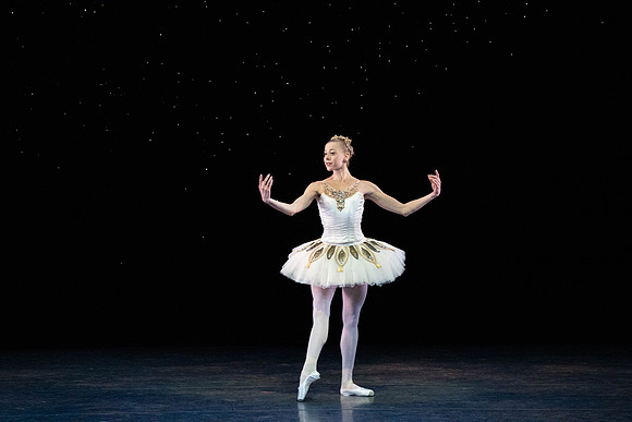 20260329_Ameralds_Matinee_Arsht_2026_DSC6185