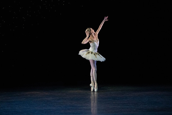 20260329_Ameralds_Matinee_Arsht_2026_DSC6327
