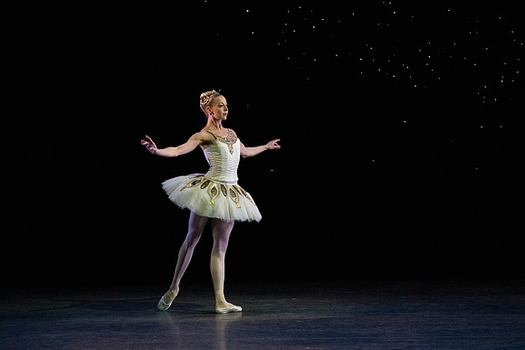 20260329_Ameralds_Matinee_Arsht_2026_DSC6067