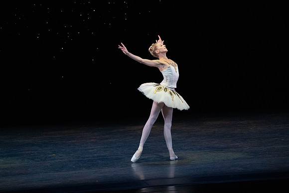 20260329_Ameralds_Matinee_Arsht_2026_DSC6414