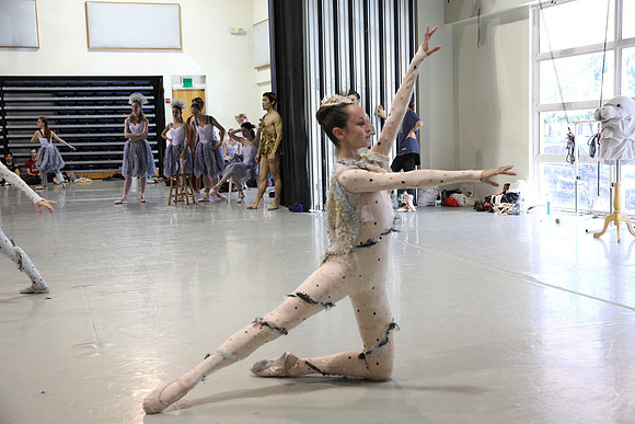 20160310_Midsummer_Act1_Studio_IMG_1491