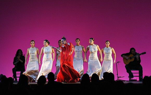 20210417_Siudy_ flamenco_archt_DSC9985