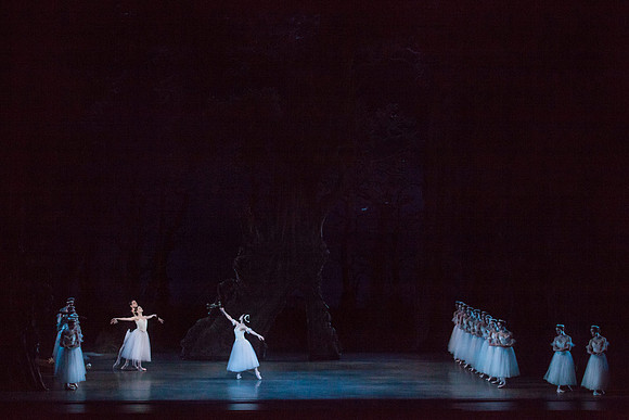 7064_DG_GISELLE_Broward_Preformance_Miami_City_Ballet_FL_IMG_4669