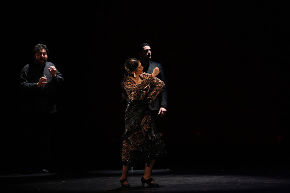 20140227_Flamenco_Festival_1_9C7C0100