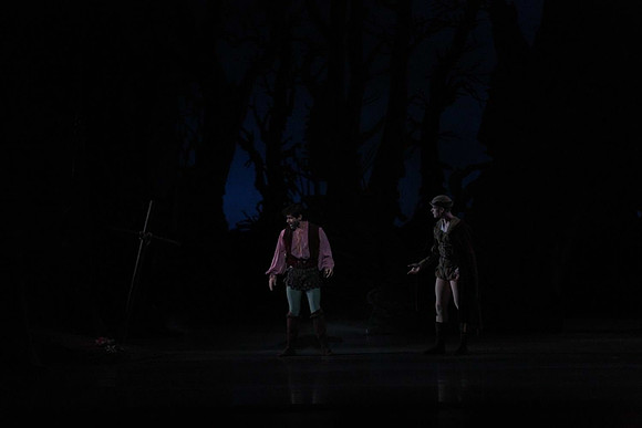 20161020_MCB_Giselle_Act2_DRNN_Arsht_9C7C0053