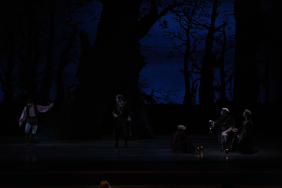 20161020_MCB_Giselle_Act2_DRNN_Arsht_9C7C0050