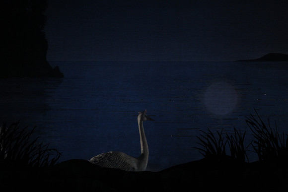 20151022_MCB_Swan_Lake_DR_Arsht_IMG_7572
