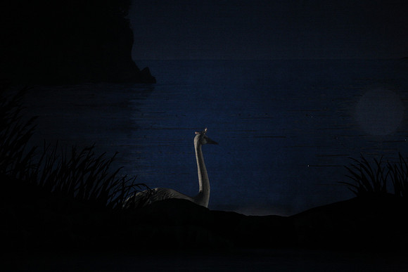 20151022_MCB_Swan_Lake_DR_Arsht_IMG_7571