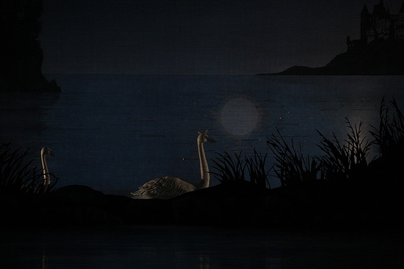 20151022_MCB_Swan_Lake_DR_Arsht_IMG_7575