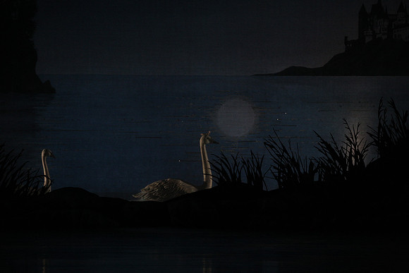 20151022_MCB_Swan_Lake_DR_Arsht_IMG_7576