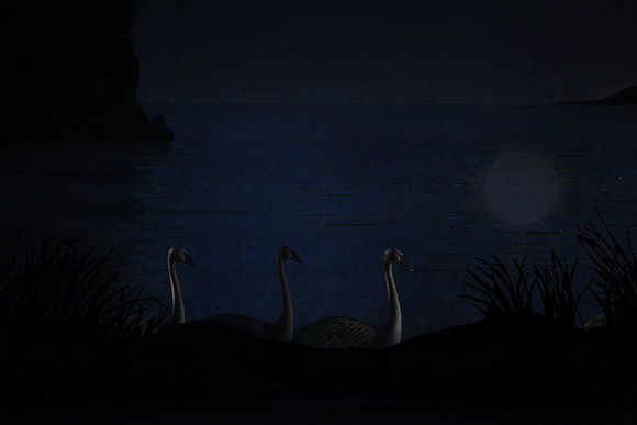 20151022_MCB_Swan_Lake_DR_Arsht_IMG_7585
