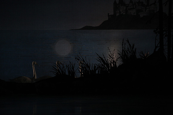 20151022_MCB_Swan_Lake_DR_Arsht_IMG_7591