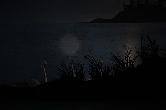 20151022_MCB_Swan_Lake_DR_Arsht_IMG_7595