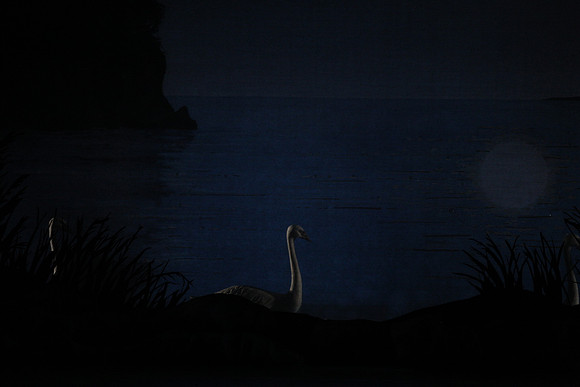 20151022_MCB_Swan_Lake_DR_Arsht_IMG_7602
