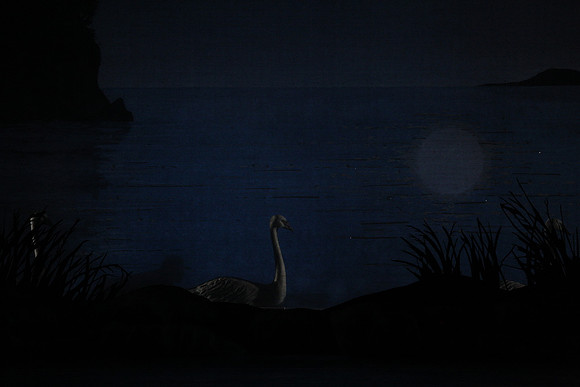 20151022_MCB_Swan_Lake_DR_Arsht_IMG_7604