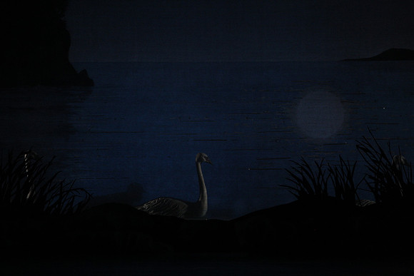 20151022_MCB_Swan_Lake_DR_Arsht_IMG_7605