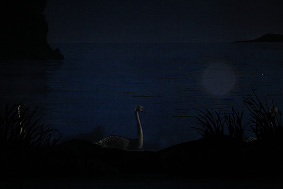 20151022_MCB_Swan_Lake_DR_Arsht_IMG_7606