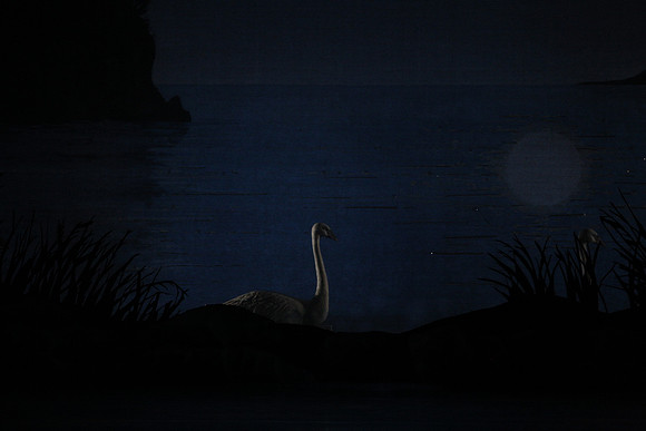 20151022_MCB_Swan_Lake_DR_Arsht_IMG_7613