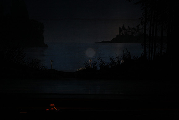 20151022_MCB_Swan_Lake_DR_Arsht_IMG_7620