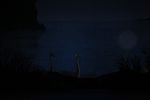 20151022_MCB_Swan_Lake_DR_Arsht_IMG_7622