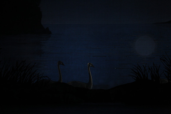 20151022_MCB_Swan_Lake_DR_Arsht_IMG_7623