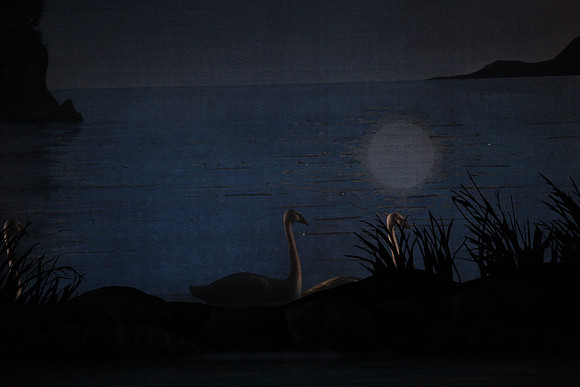 20151022_MCB_Swan_Lake_DR_Arsht_IMG_7627