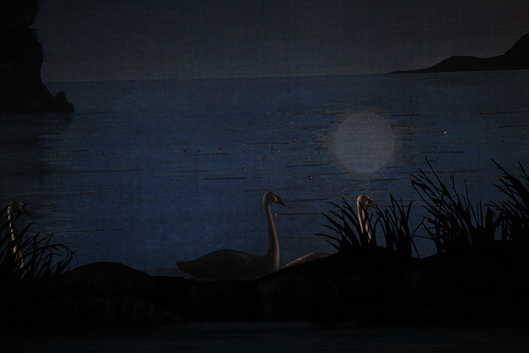 20151022_MCB_Swan_Lake_DR_Arsht_IMG_7628