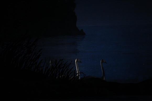 20151022_MCB_Swan_Lake_DR_Arsht_IMG_7629