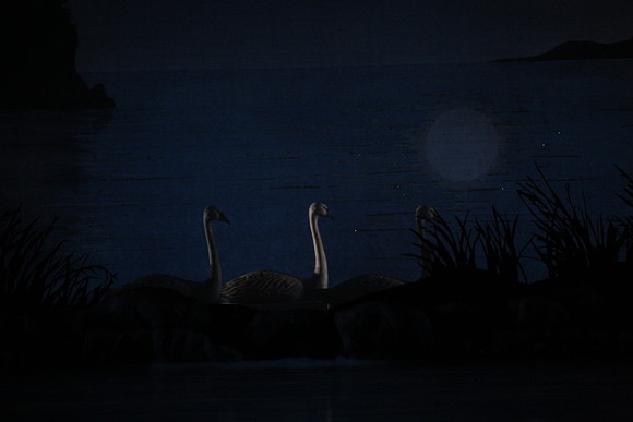 20151022_MCB_Swan_Lake_DR_Arsht_IMG_7630
