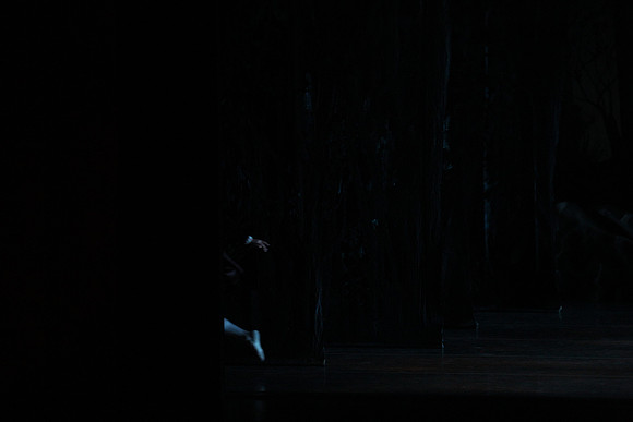 20151022_MCB_Swan_Lake_DR_Arsht_IMG_7661