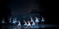 20151025_MCB_Swan_Lake_2Cast_Arsht_IMG_0562