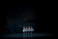20151025_MCB_Swan_Lake_2Cast_Arsht_IMG_0033