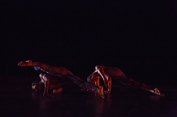 20131220_Ayikodans_Arsht__C7C1455