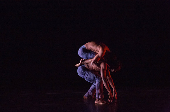 20131220_Ayikodans_Arsht__C7C1476